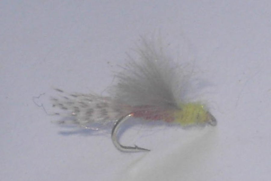 Cdc caddis adult blue dun fly