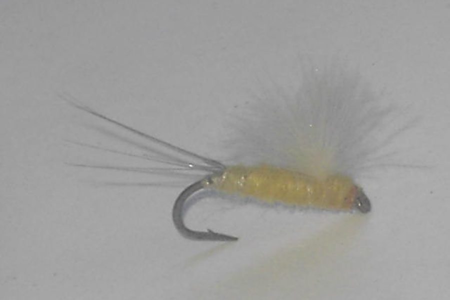 Cdc caddis adult tan