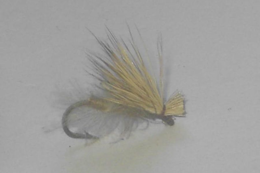 Cdc elk hair caddis tan fly