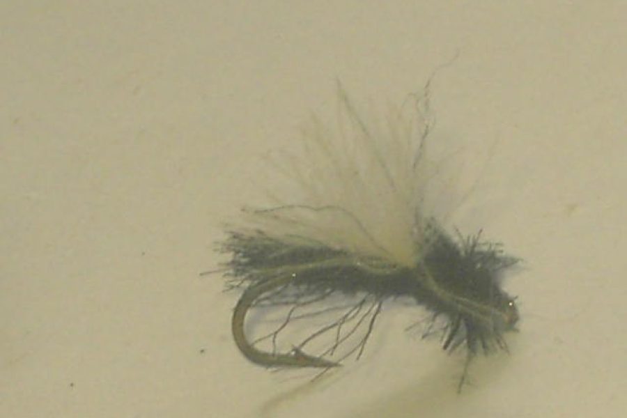 Black CDC Midge Adult fly