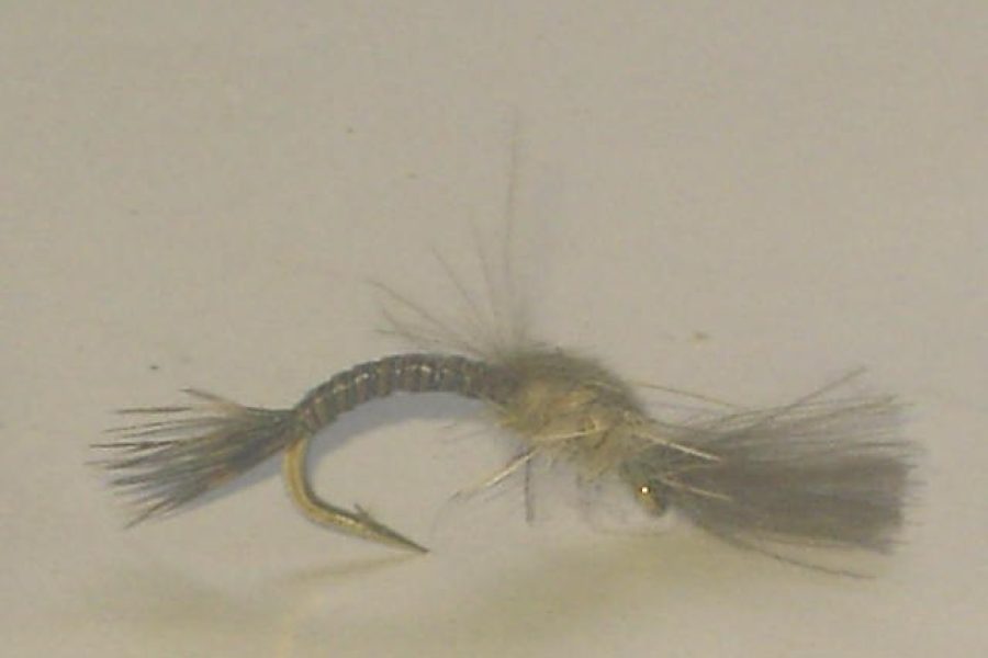 Cdc natural emerger