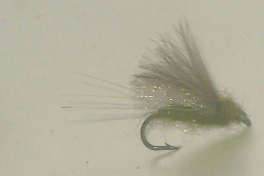 CDC Tailwater Blue Winged Olive fishing fly