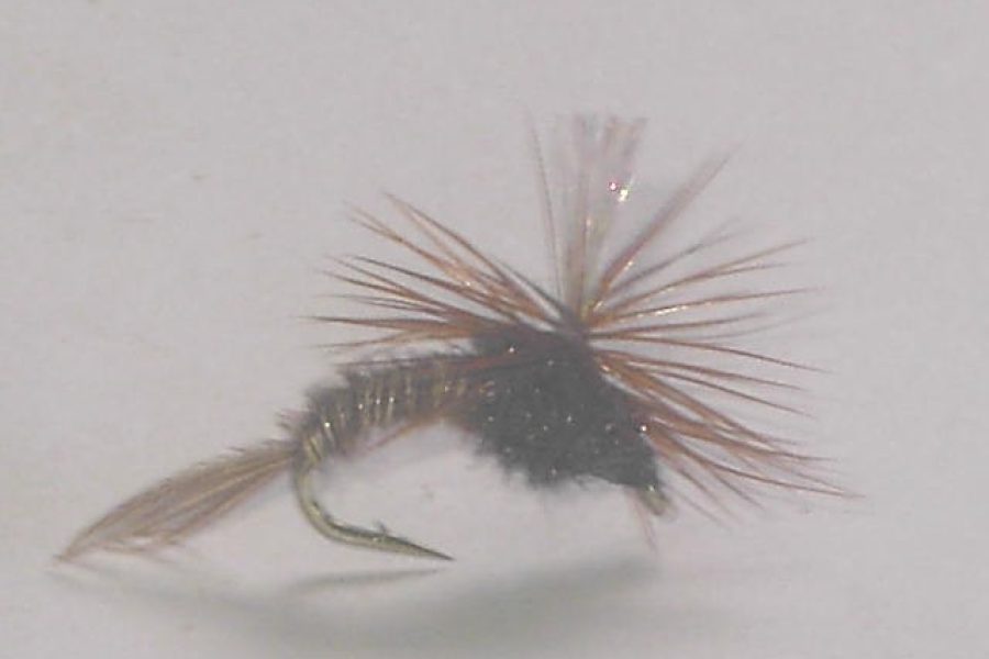 Crystal wing parachute dry fly