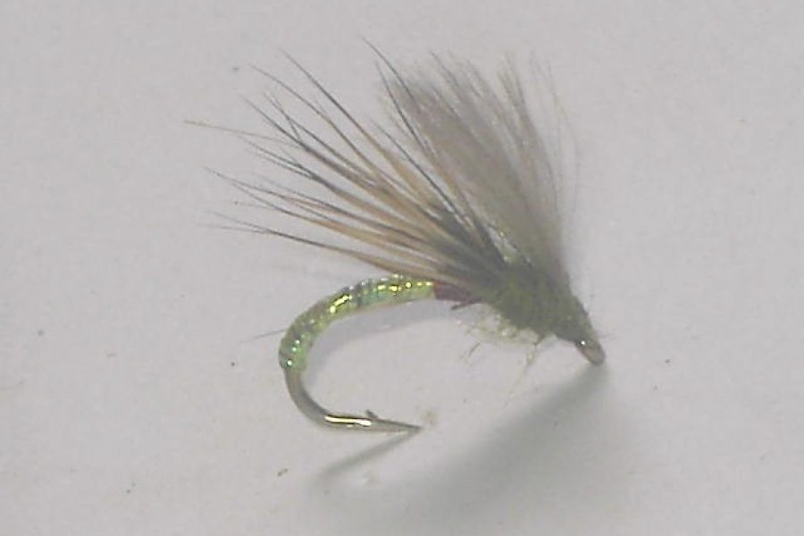 Cul de cannon variant dry fly