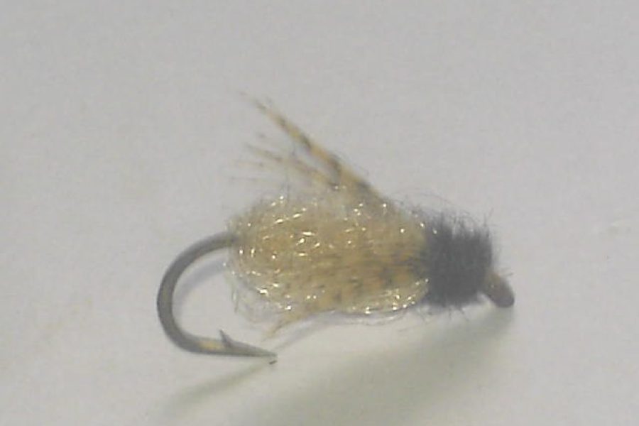 Deep Spackle Pupa Tan dry fly