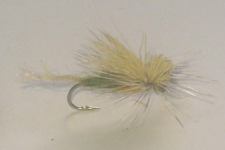 E/C Caddis Cutter Dry Fly