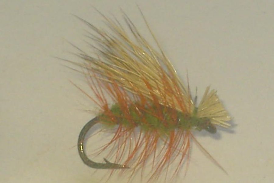 Elk hair caddis olive fly