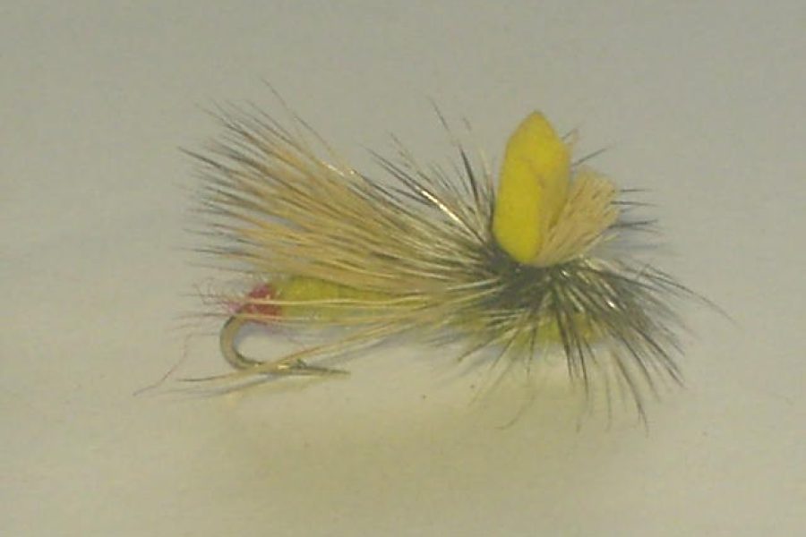 Elk Wing Caddis Dry fly