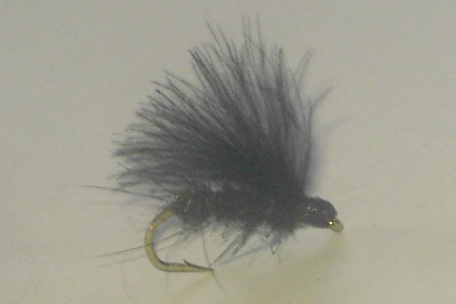 black CDC F fly