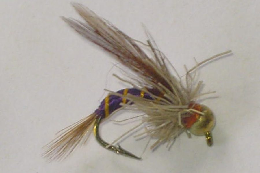 Tungsten niNgai fly purple