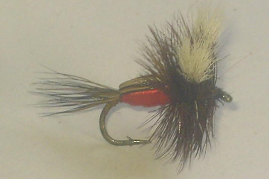 Royal Humpy dry fly