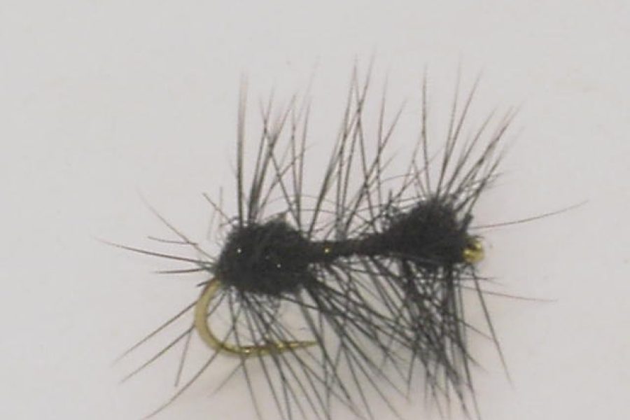 Foam Black Ant dry fly