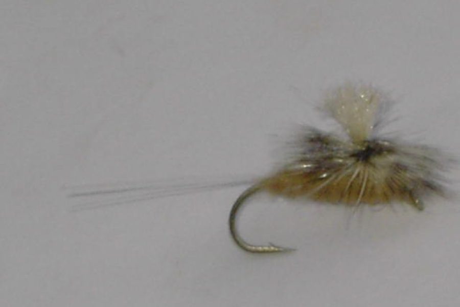 Para spinner callibaetis fly