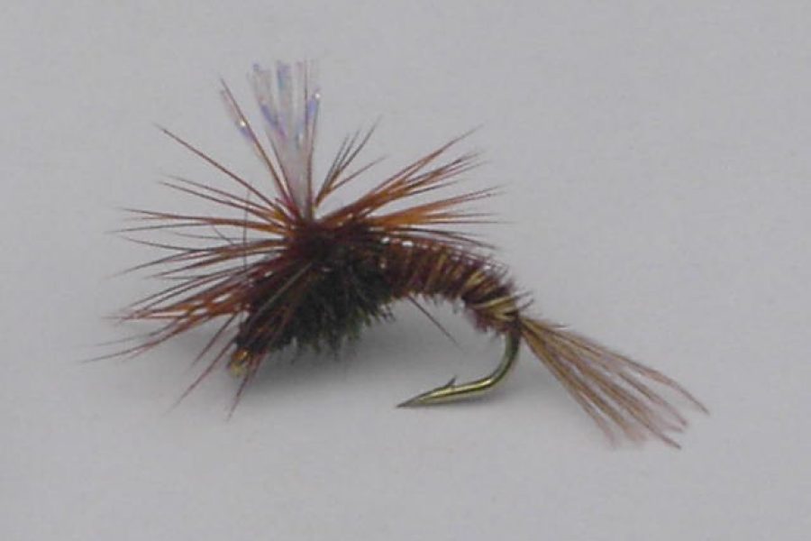 Klinkhammer special fly