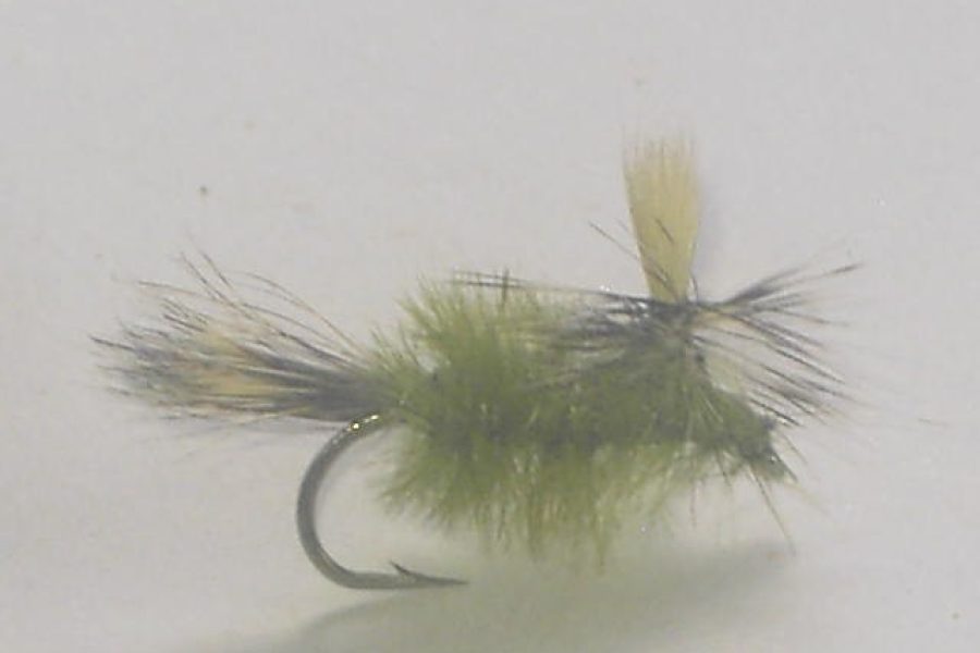 Parachute caddis olive fly