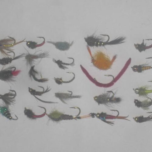 25 assorted nymphs flies