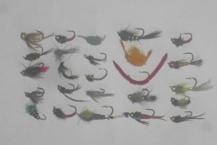 25 assorted nymphs flies