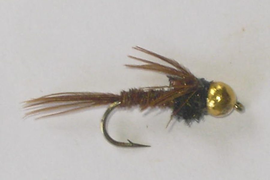 Tungsten pheasant tail fly