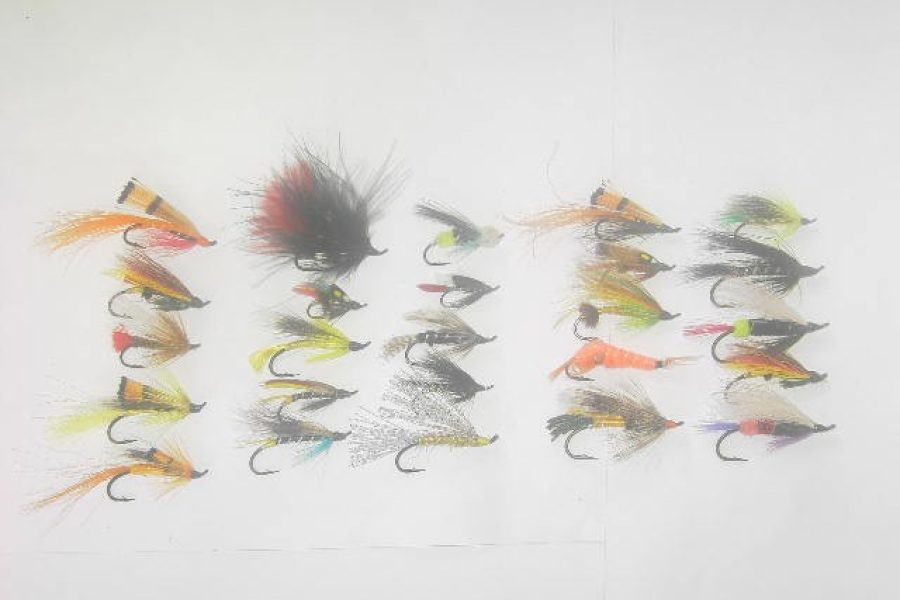 25 Assorted Salmon fly fishing flies