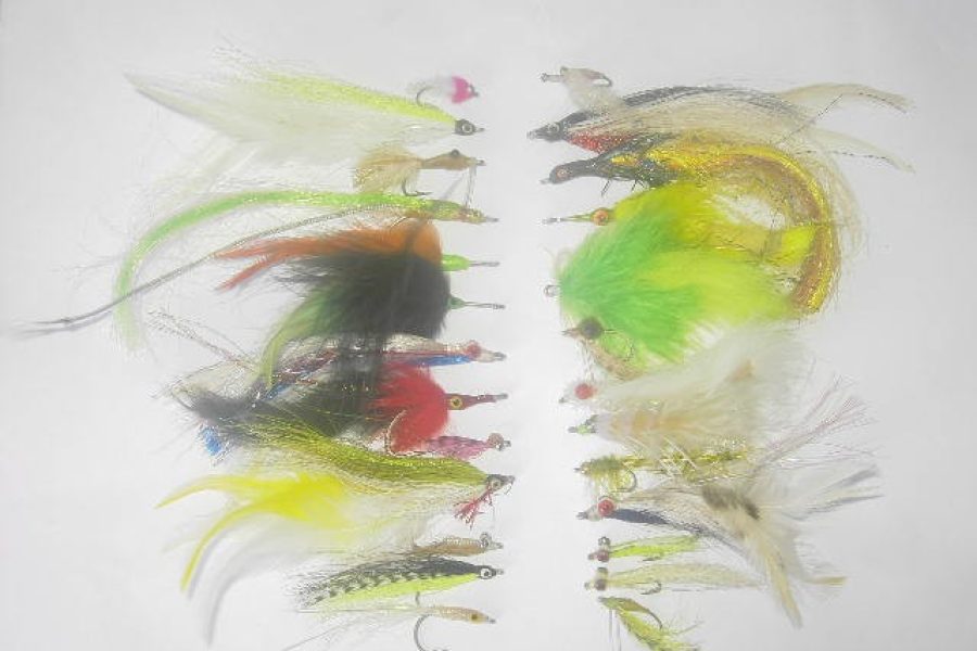 50 Assorted Saltwater fly fishing flies