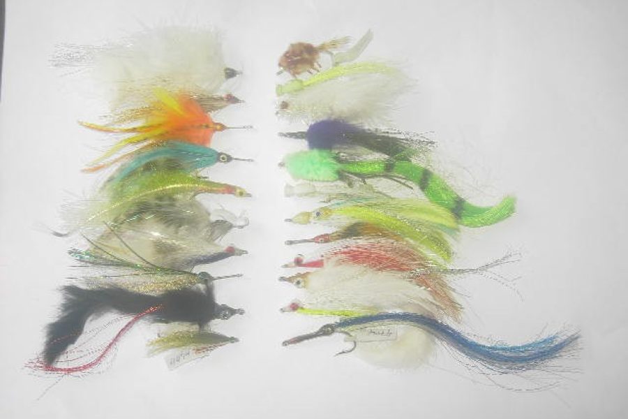 75 Assorted Saltwater fly fishing flies