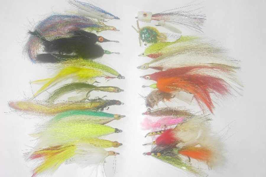 100 Assorted Saltwater fly fishing flies