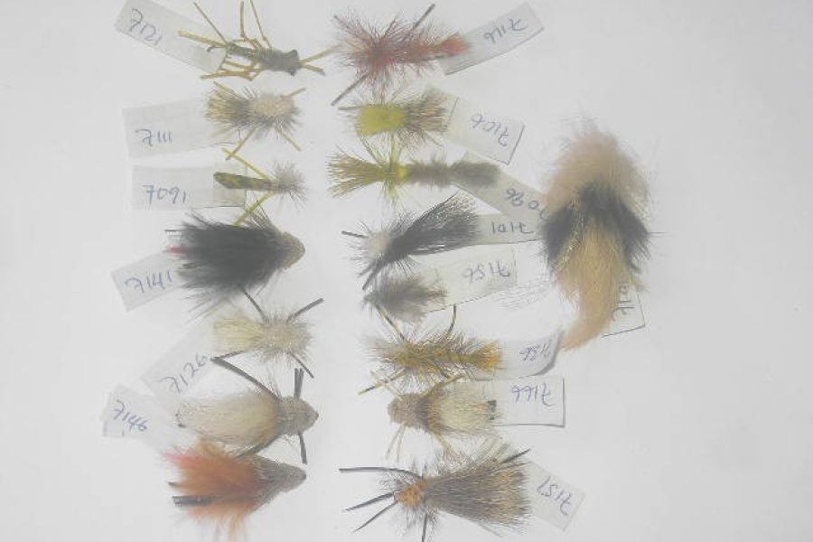 25 Assorted special fly fishing flies