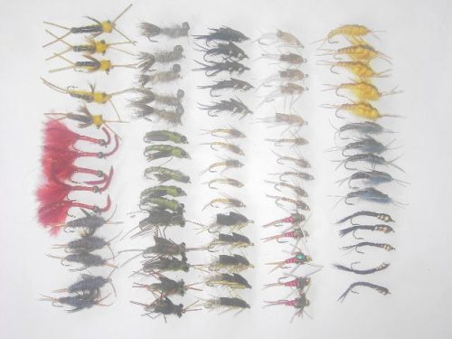 75 Assorted stoneflies