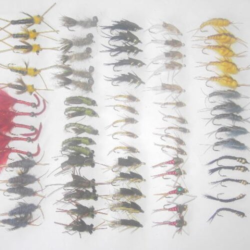 75 Assorted stoneflies fly fishing flies