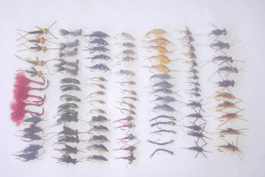 100 Assorted stoneflies fly fishing flies