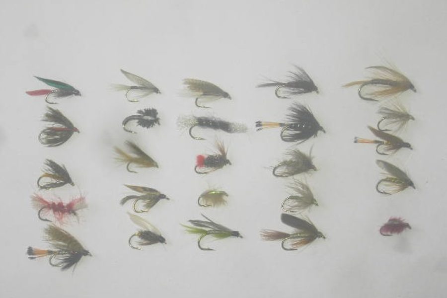 25 Assorted wet fly fishing flies