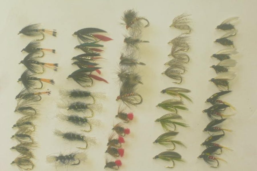 50 Assorted wet fly fishing flies