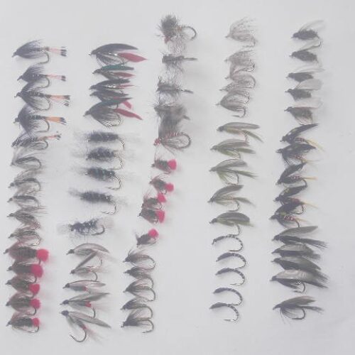 75 Assorted wet fly fishing flies