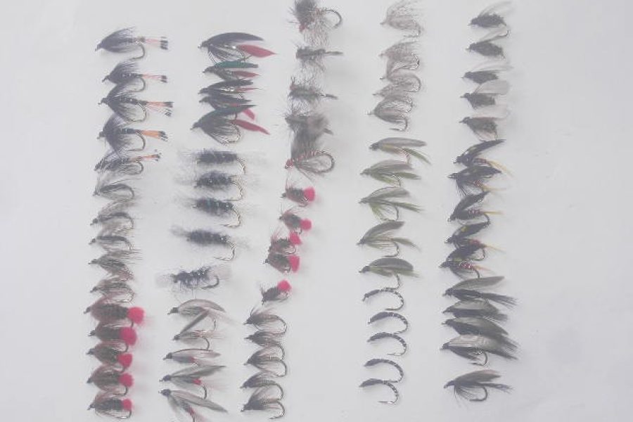 75 Assorted wet fly fishing flies