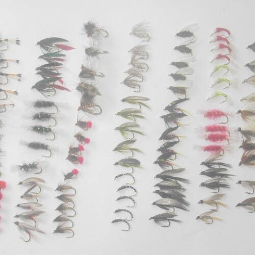100 Assorted wet fly fishing flies
