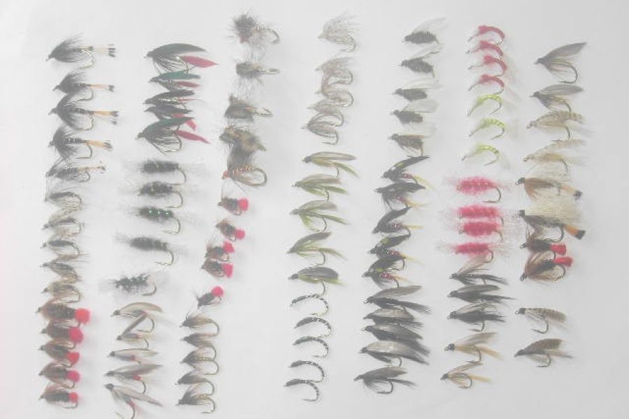 100 Assorted wet fly fishing flies