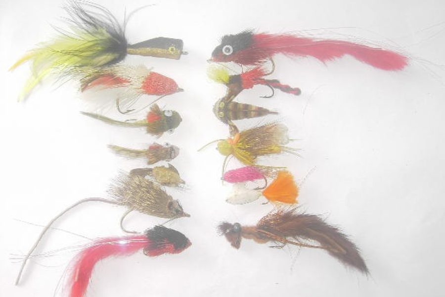 25 Assorted bass bug fly fishing flies