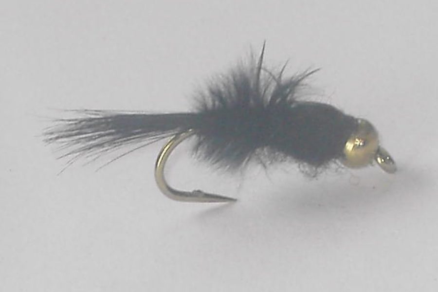 Beadhead Blacky Nymph