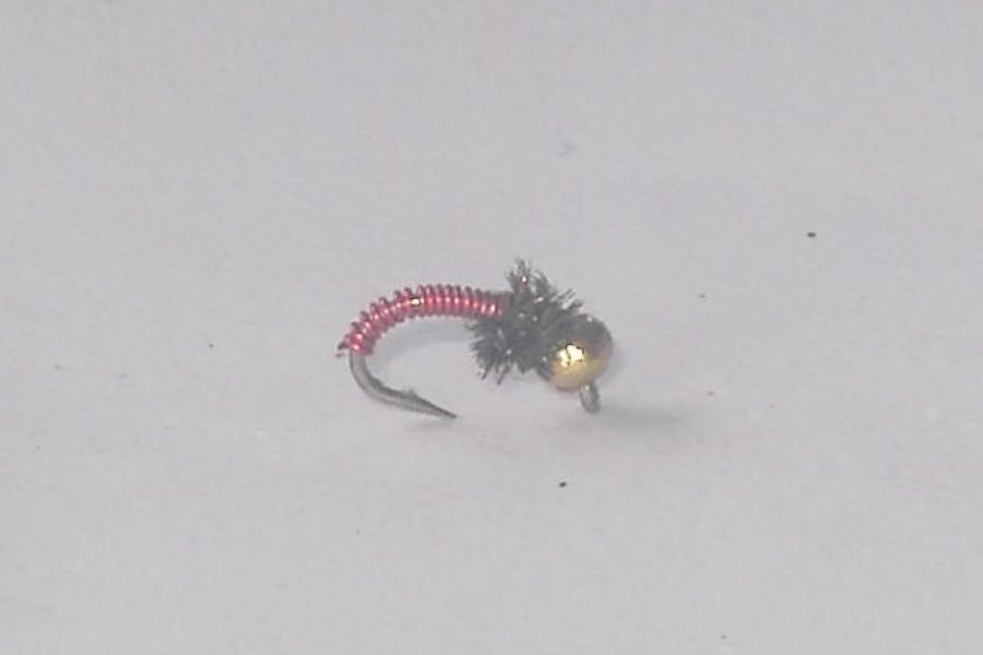 Red Beadhead Brassie Nymph