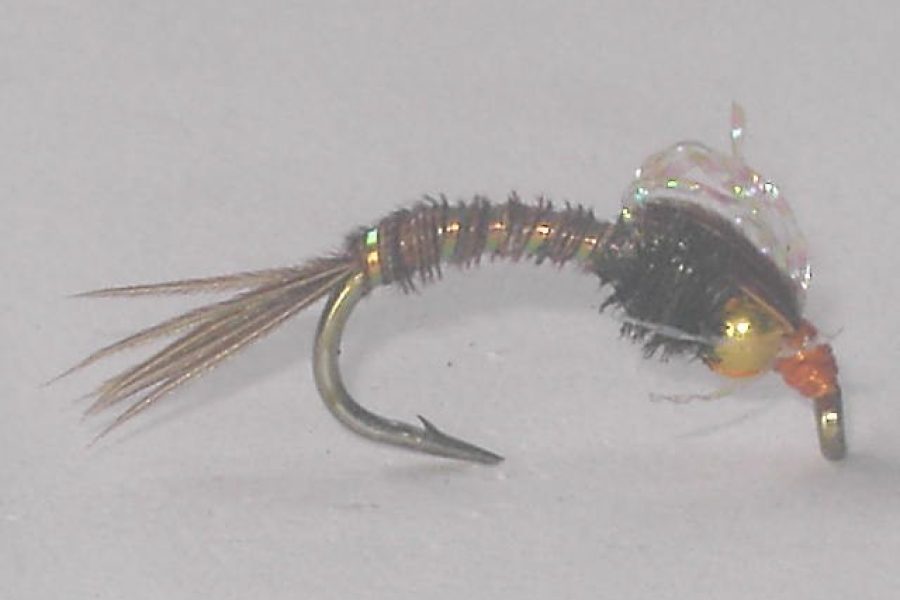 Bead Head Bubble Back Emerger