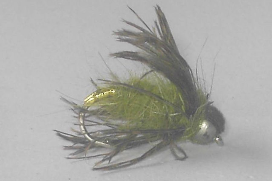 BeadHead Caddis Pupa Olive nymph