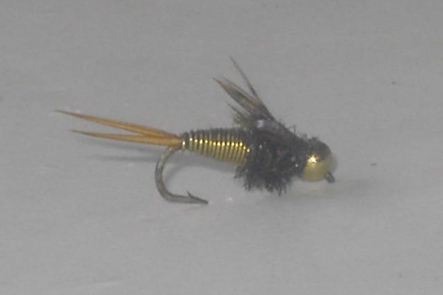 Gold Beadhead Copper John Nymph