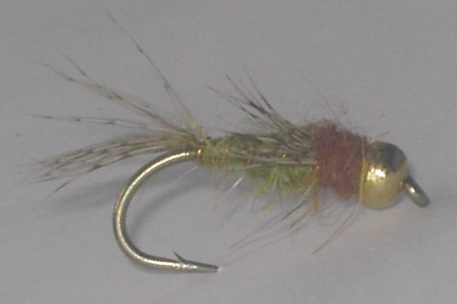 Beadhead FB Caddis Nymph Olive