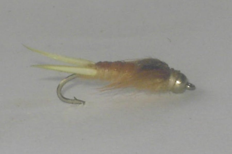 Latex Beadhead Stonefly Nymph