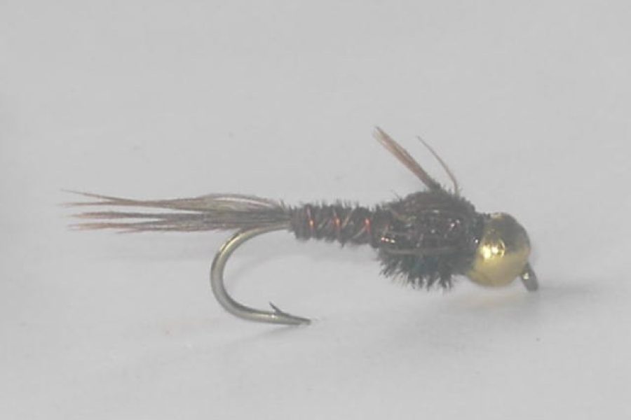 Bead Head Pheasant Tail Large