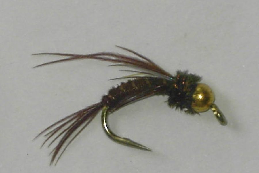 Tungsten swimming pheasant tail fly