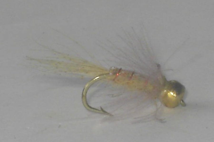 Beadhead LaFontaine Nymph