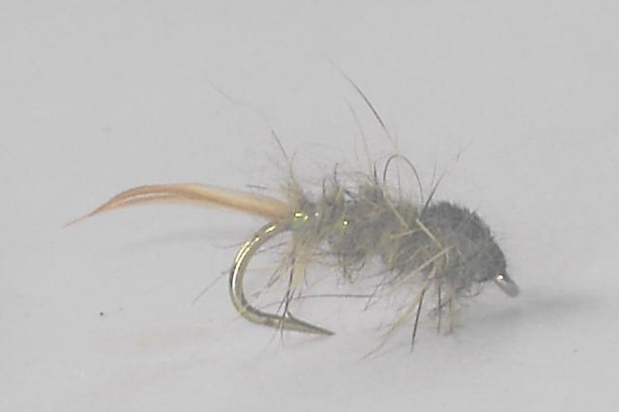 Bead head Epoxyback Hares Ear fishing fly