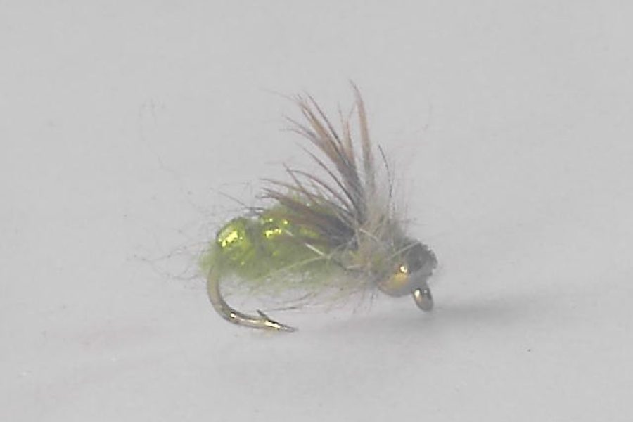 Beadhead Pulsating Caddis Olive