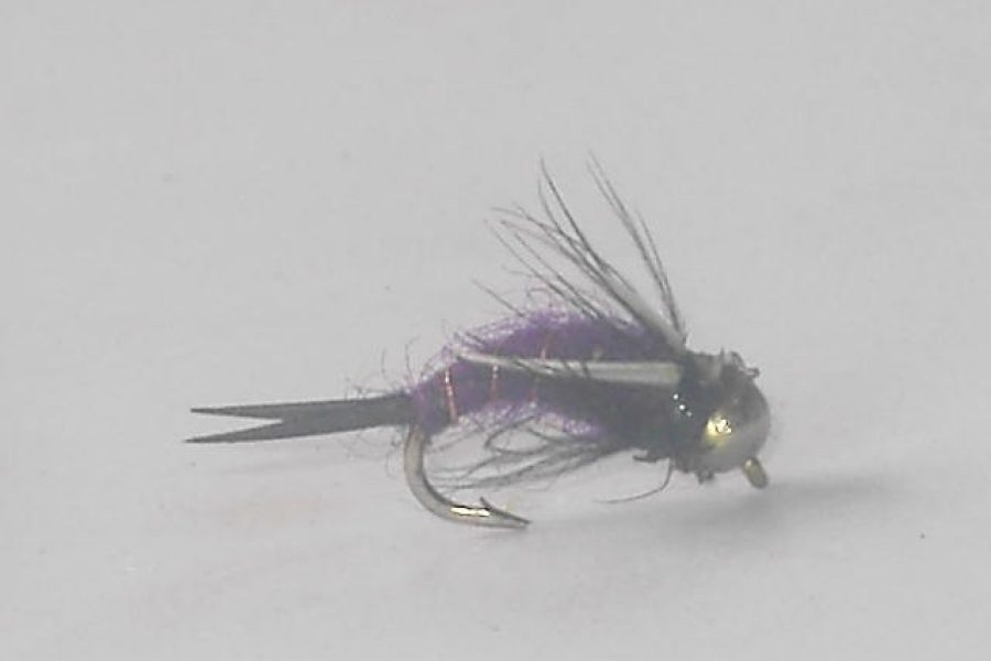 Beadhead Purple Prince Nymph